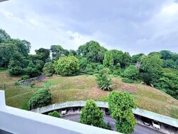 Clementi Park (D21), Condominium #594084771